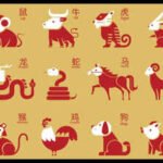 Horoscope Today, October 24, 2026: Chinese Zodiac Animals Who May Find Peace at Home, If They Choose Their Words Carefully