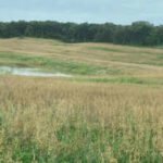 Iowa has begun a .9 million effort to reclaim 150 acres of abandoned coal mines, where dangerous embankments and acidic soils remain; the state says earlier work has already restored 7,195 acres