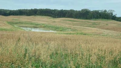 Iowa has begun a $4.9 million effort to reclaim 150 acres of abandoned coal mines, where dangerous embankments and acidic soils remain; the state says earlier work has already restored 7,195 acres