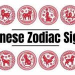 Weekly Horoscope, 26 October–1 November 2026: Your Own Chinese Animal Day This Week Could Be Your Luckiest; Check the Date