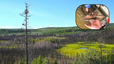 Archaeologists examining a 13,800-year-old Alaska campsite found thousands of artifacts, a hearth and traces of a possible shelter; the discovery offers rare clues about how early people lived near Beringia