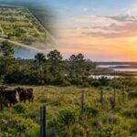 A Florida owner planned 52 ten-acre homesites across his 625-acre cattle ranch if the county would not buy it; after two years of talks, officials agreed to pay .8 million and stop the development