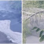 Nepal Floods: Nepal floods: Chilling videos show bridges swept away, homes destroyed