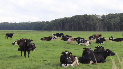 A billionaire who bought Tasmania’s Woolnorth dairy for A$280 million in 2016 has won a tax reversal: a full court overturned the case that had left his companies facing A$23.4 million including penalties and interest
