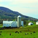 A Pennsylvania woman lived on a 60-acre family farm for 22 years, then agreed to sell it for 0,000 with a proposed 99-year lease letting her stay; an appeals court kept the sale blocked after her siblings objected