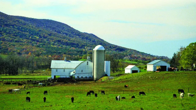 A Pennsylvania woman lived on a 60-acre family farm for 22 years, then agreed to sell it for 0,000 with a proposed 99-year lease letting her stay; an appeals court kept the sale blocked after her siblings objected