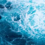 World’s oceans break June heat record: Monitor