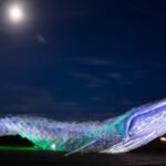 Two California artists turned around 5,000 pounds of discarded plastic into an 82-foot blue whale in 2018; after moving to New Mexico, the record-setting sculpture was named a Roadside America Sight of the Week in 2026
