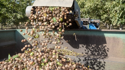 In 2024, a California walnut farmer turned a small email experiment into a major change in his business: Just 300 of 10,000 cherry customers opted in, yet direct sales helped triple his walnut crop’s gross revenue