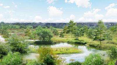 In 2022, workers began turning an illegal dumping ground at Philadelphia’s FDR Park into a wetland; by 2026, 33 acres had been restored with 7,000 trees and new space for birds and turtles
