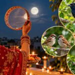 Karwa Chauth 2026: Seeing these 3 birds is considered auspicious for married life