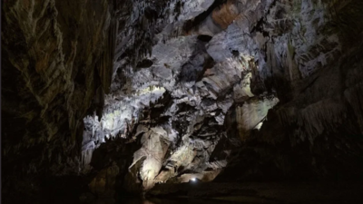 A Pennsylvania family has owned Penn’s Cave since 1908 and expanded its land to protect its water; 118 years later, the 1,400-acre attraction with a cavern, wildlife park and airport is seeking a new owner