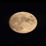 Spiritual Quote of the Day, October 31: Leo Moon Brings a Lesson About Choosing Self-Respect Without Turning Pride Into Distance