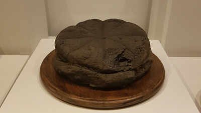 When Mount Vesuvius erupted in AD 79, a round loaf of bread in Herculaneum was buried under volcanic debris; it was found carbonised nearly 2,000 years later, still showing its eight segments and a baker’s stamp