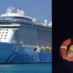 A 44-year-old woman jumped into the sea from a cruise ship near Greece; 20 hours later, she was found alive in a lifebuoy, telling rescuers she wanted to disembark | World News
