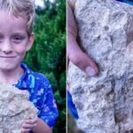 A 6-year-old Nebraska boy found a rare 200-million-year-old marine fossil that had not been recorded in the state for more than 55 years | World News