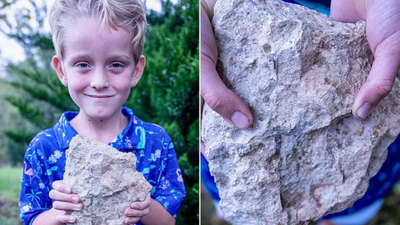 A 6-year-old Nebraska boy found a rare 200-million-year-old marine fossil that had not been recorded in the state for more than 55 years | World News