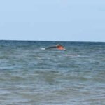 ‘Started to sink backwards’: 139 migrants, including 15 children, killed as boat capsizes off Djibouti