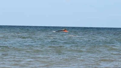 ‘Started to sink backwards’: 139 migrants, including 15 children, killed as boat capsizes off Djibouti