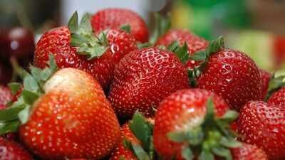 A fabric developed from military clothing research was placed over strawberry plants; field tests produced 3.56 times more fruit |