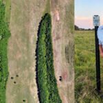 A Louisiana landowner bought 300 acres to raise cattle, but repeated floods changed his plans; he is now restoring wetlands and planting 183 acres of forest to connect wildlife habitats | World News