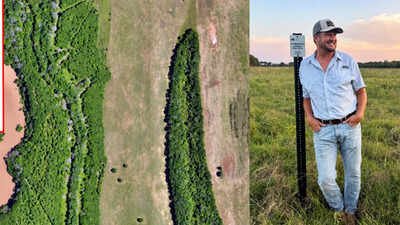 A Louisiana landowner bought 300 acres to raise cattle, but repeated floods changed his plans; he is now restoring wetlands and planting 183 acres of forest to connect wildlife habitats | World News