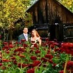 A Maine couple grew their own wedding flowers in a 30-by-50-foot backyard garden after estimating florist costs could reach ,000 | World News