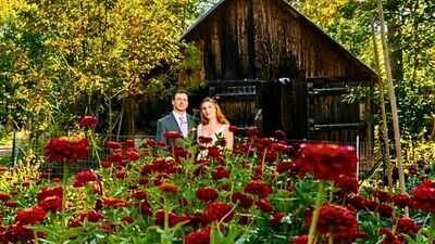 A Maine couple grew their own wedding flowers in a 30-by-50-foot backyard garden after estimating florist costs could reach $5,000 | World News
