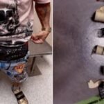 A Miami airport passenger had an ‘unexplained bulge’; officers found 10 live birds hidden in his underwear | World News