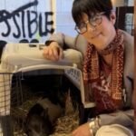 A pig became famous after running through Hollywood; Oscar-nominated songwriter Diane Warren won him in a silent auction and sent him to a 7-acre sanctuary | World News