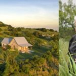 A Texas physician spent 40 years restoring family land; M property is now a 2,178-acre wildlife area filled with deer, wild turkeys and black-capped vireos | World News