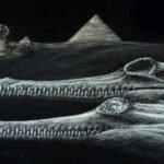 Scientists identified a new extinct crocodile species from the same Egyptian rocks used to build the Great Sphinx; even the fossil is missing the tip of its snout, echoing the monument