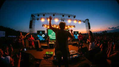Brazilian DJ Alok has helped restore 3 million sq m of native forest across Brazil; 400,000 seedlings have been planted | World News