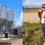 An Australian chicken farmer found a way to turn 35,000 tonnes of poultry waste into electricity, fertiliser and natural food dye; a larger plant could power 1,200 homes | World News