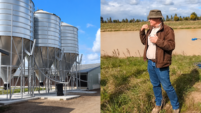 An Australian chicken farmer found a way to turn 35,000 tonnes of poultry waste into electricity, fertiliser and natural food dye; a larger plant could power 1,200 homes | World News