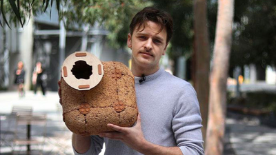 An Australian designer develops hempcrete tiles to recreate tree hollows and rocky crevices; shelters aim to help threatened wildlife, including eastern quolls and ringtail possums | World News