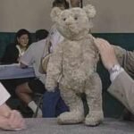 Antique teddy bear valued at ,000-,000 in 1996 gets a ,000 updated value in 2026 for its rare white fur and classic features | World News