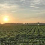Arkansas officials took just 1.62 acres from a family trust’s land and initially valued the loss at 7,825; after an 11-year fight over road access, an appeals court upheld a  million jury award