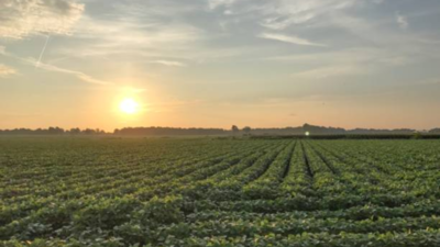 Arkansas officials took just 1.62 acres from a family trust’s land and initially valued the loss at $417,825; after an 11-year fight over road access, an appeals court upheld a $3 million jury award