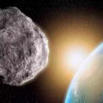 The asteroid wiped out dinosaurs 66 million years ago; now scientists say ‘jumping genes’ may have helped ants conquer the planet