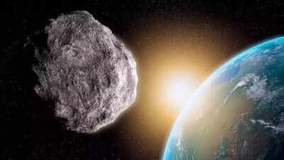 The asteroid wiped out dinosaurs 66 million years ago; now scientists say ‘jumping genes’ may have helped ants conquer the planet