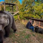 Bosnian electrician Petar Tubic rescued a two-kilogram bear cub in 2019; six years later, the 150-kilogram bear still tries to climb onto his lap, while his home has become a refuge for rescued animals