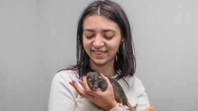 British university student turns her pet rats into viral miniature artists, selling their paintings for up to £50 to help fund her degree | World News