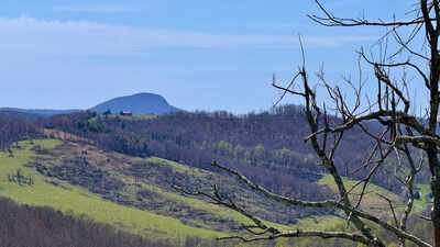Virginia has acquired 2,211 acres around Buffalo Mountain to create a new conservation area, protecting nearly 14 miles of native trout streams and expanding a landscape already drawing 15,000 visitors a year