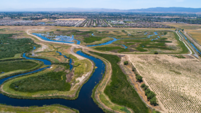 California restored former grazing land at Dutch Slough into tidal marsh; between 2020 and 2025 Marsh Wren density jumped from 0.15 to 18.47 birds per hectare, an increase of more than 12,000%