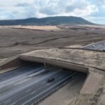 Colorado built a giant green bridge over a busy highway for animals; wildlife-vehicle collisions fell by 91% as they found a safer way across | World News
