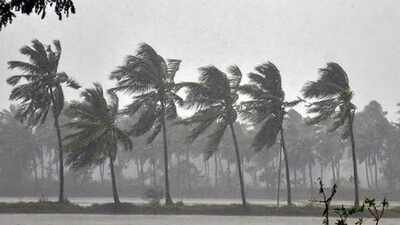 Online Classes During Cyclone: Cyclone Arnab: Schools closed in Tamil Nadu districts, Puducherry and Karaikal on October 26, check complete details here