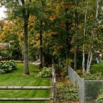 In 1996, a New York couple bought their home believing a tree line marked the boundary; 30 years later, an appeals court revived a privacy claim over cameras filming their backyard and daughter