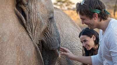 Demi Moore and Ashton Kutcher once visited a Kenyan elephant sanctuary where orphaned calves were being raised for the wild amid drought and poaching threats﻿ | World News