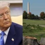 A US judge extends a ban on further tree removal at Trump’s historic Washington golf course, where more than 400 trees were cut, and orders advance notice before other irreversible work on the site